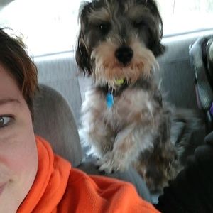 Meet your Posher, Jamie